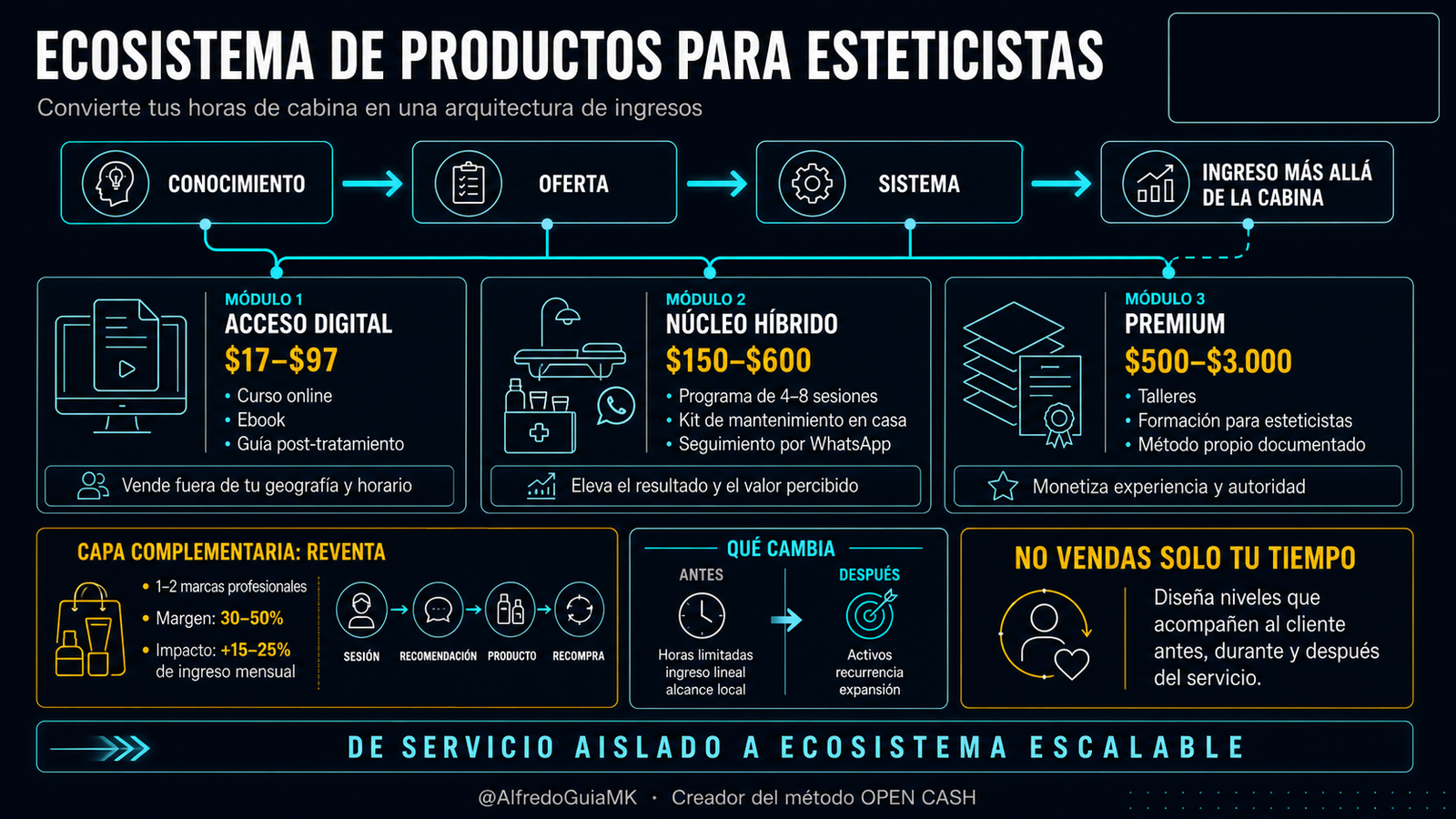 Infografía del ecosistema de productos para esteticistas con ofertas digitales, híbridas, formación y reventa