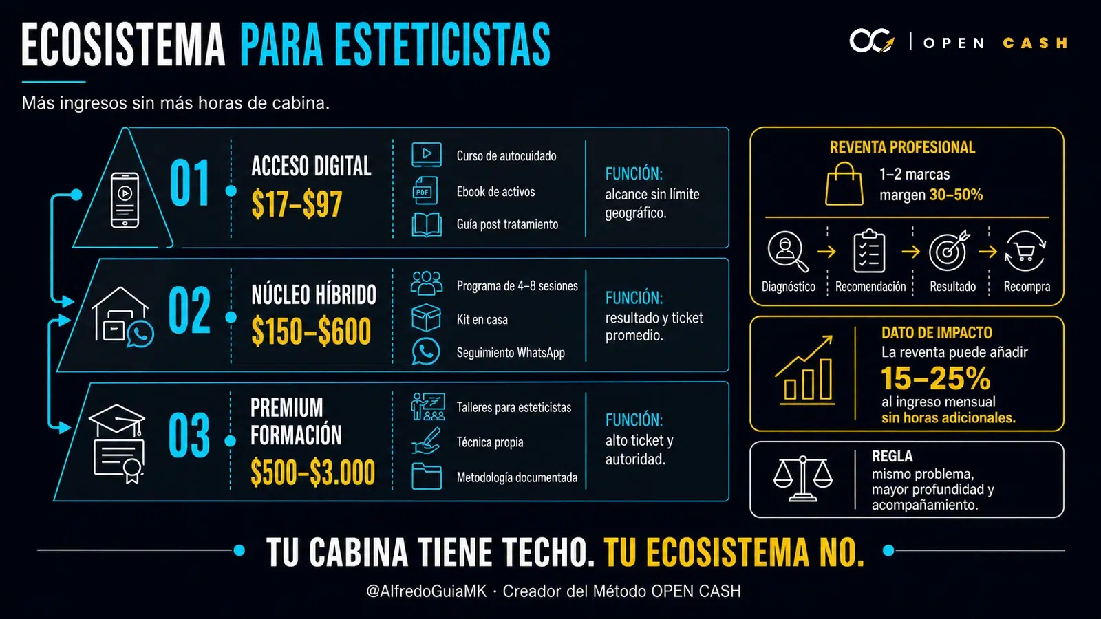 Infografía del ecosistema de productos para esteticistas con ofertas digitales, híbridas, formación y reventa